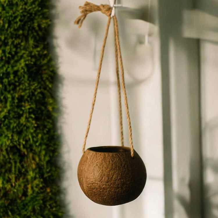 Hanging Coconut Planter