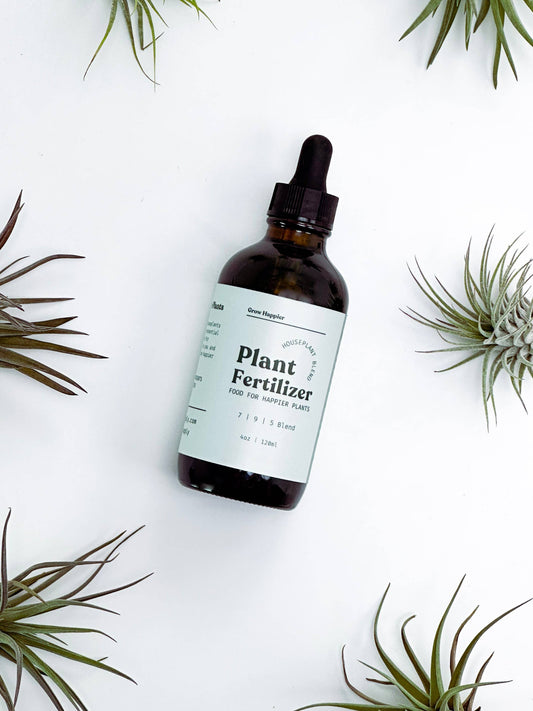 Plant Fertilizer | House Plant Food
