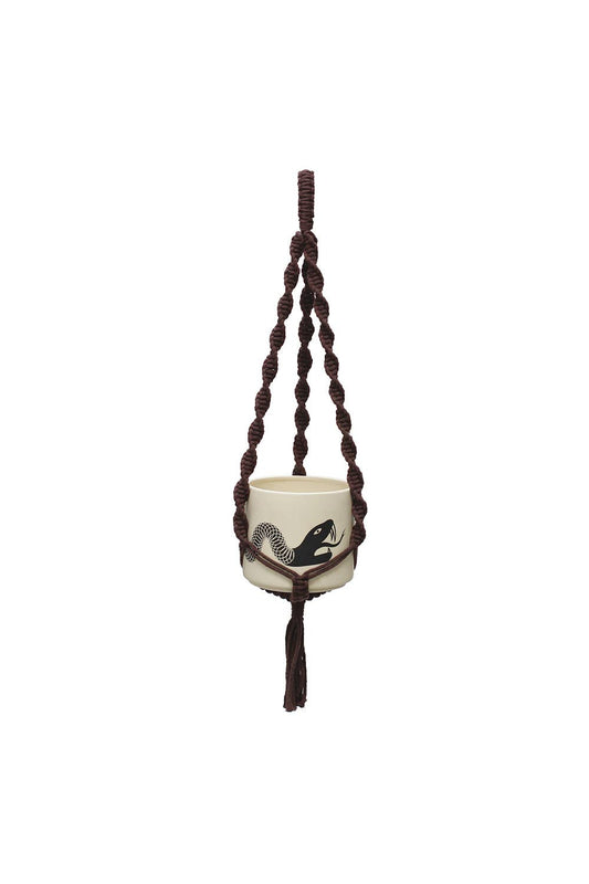 Double Helix Plant Hanger