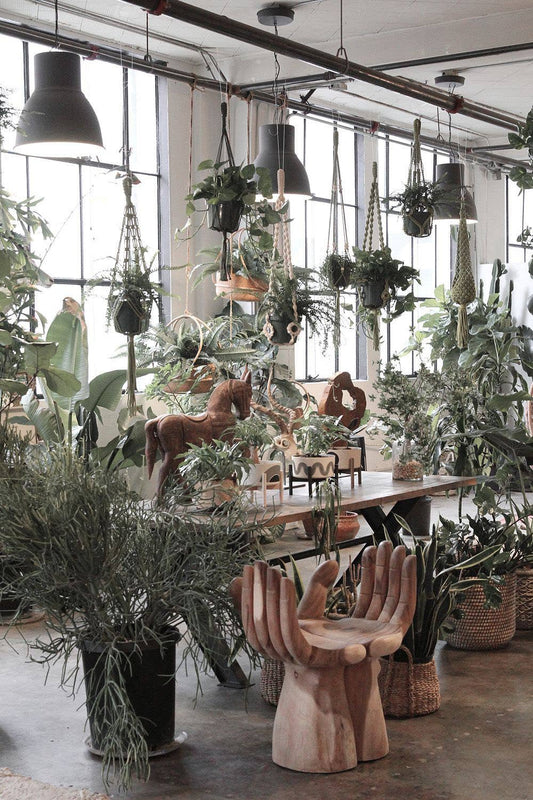 Mossy Green Plant Hanger