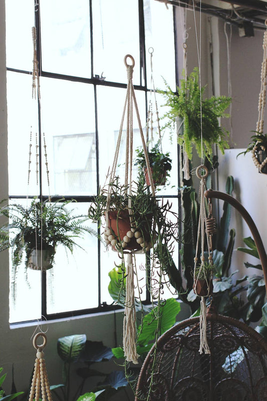 36" Beaded Plant Hanger