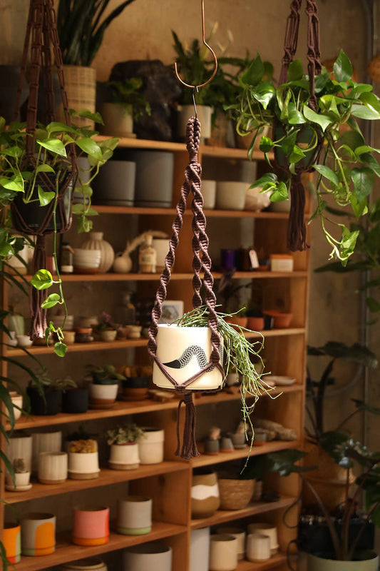 Double Helix Plant Hanger