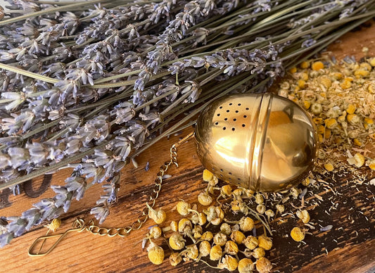 Acorn Tea Steeper