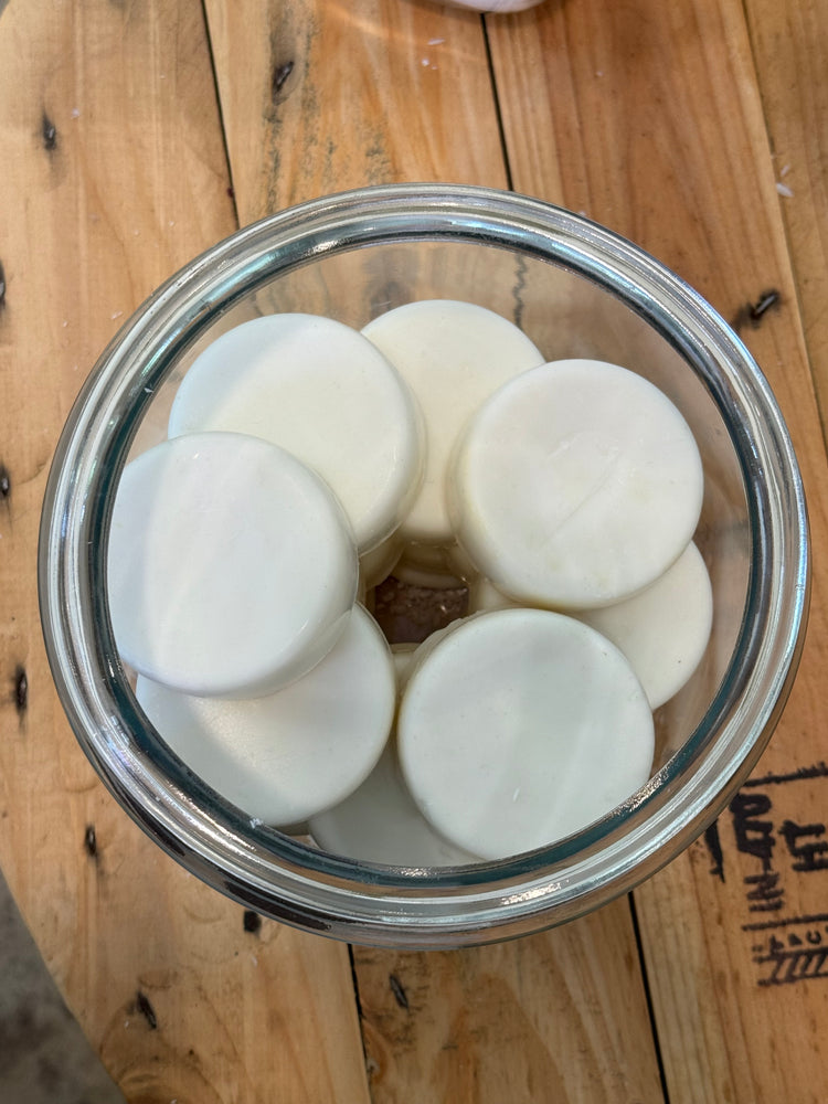 Solid Dish Soap | Eco Friendly | Low Waste