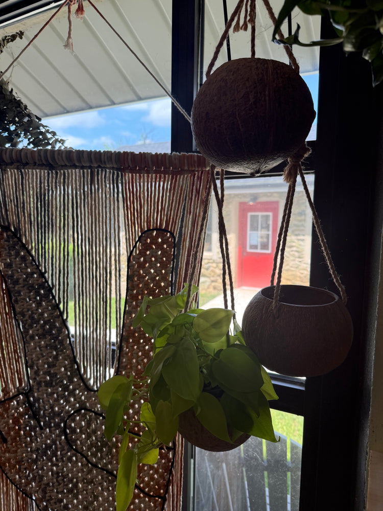 Hanging Coconut Planter
