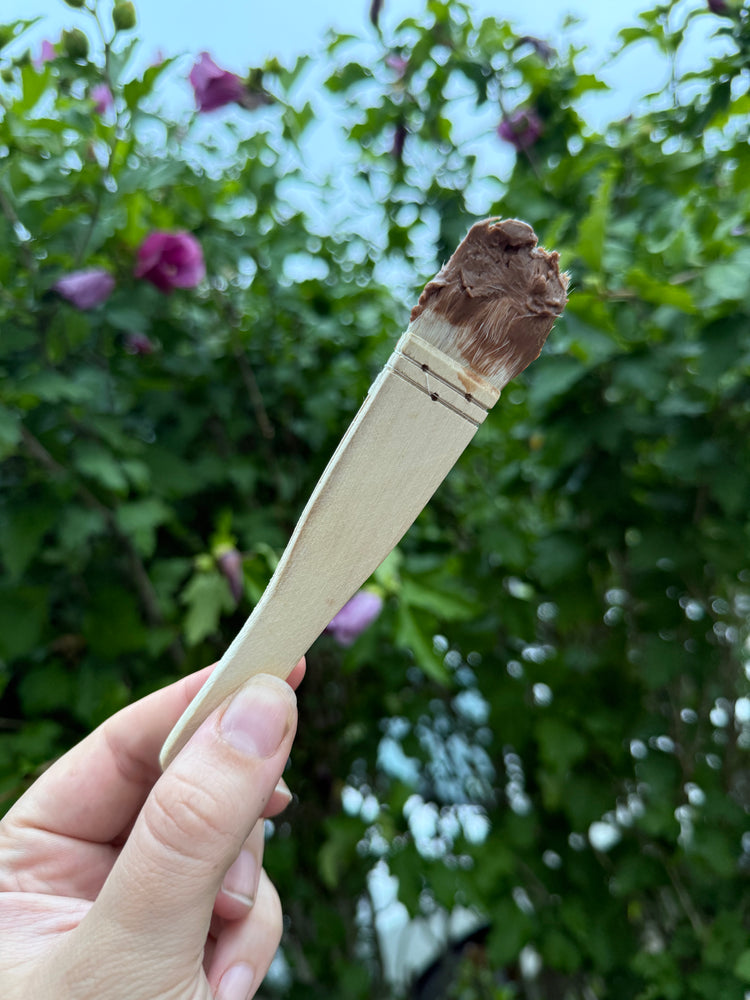 Detox Mask | Clay | Face | Zits | Pits