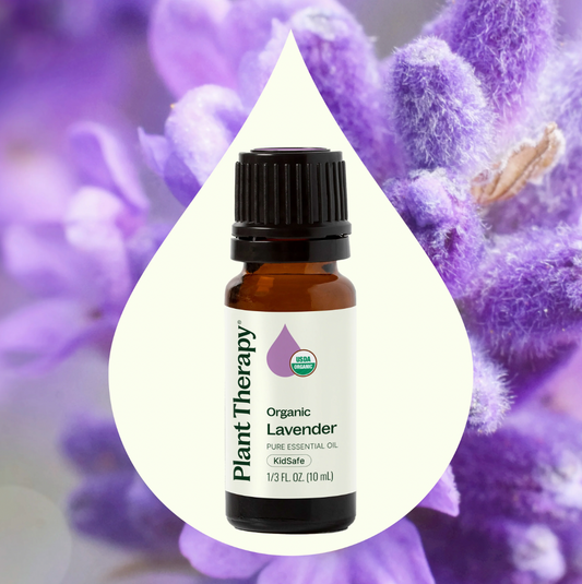 Lavender Essential Oil
