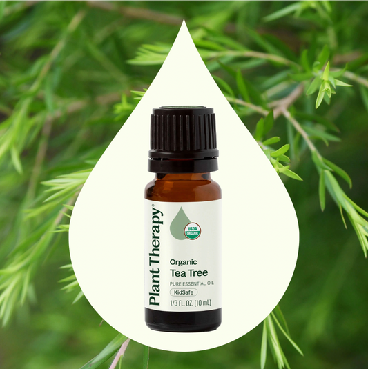 Tea Tree Essential Oil