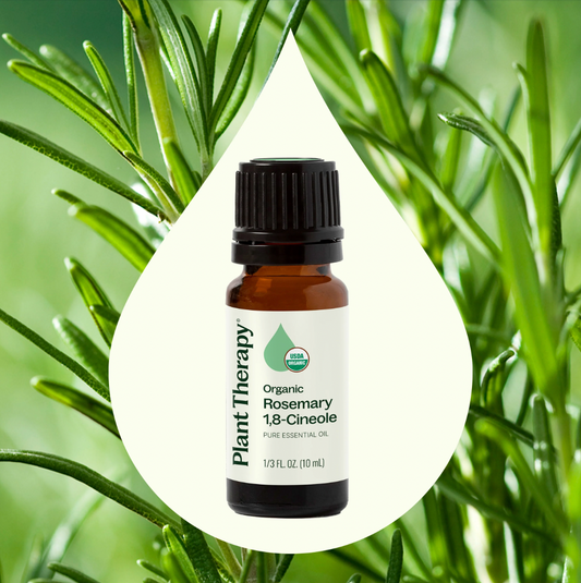 Rosemary 1,8-Cineole Essential Oil