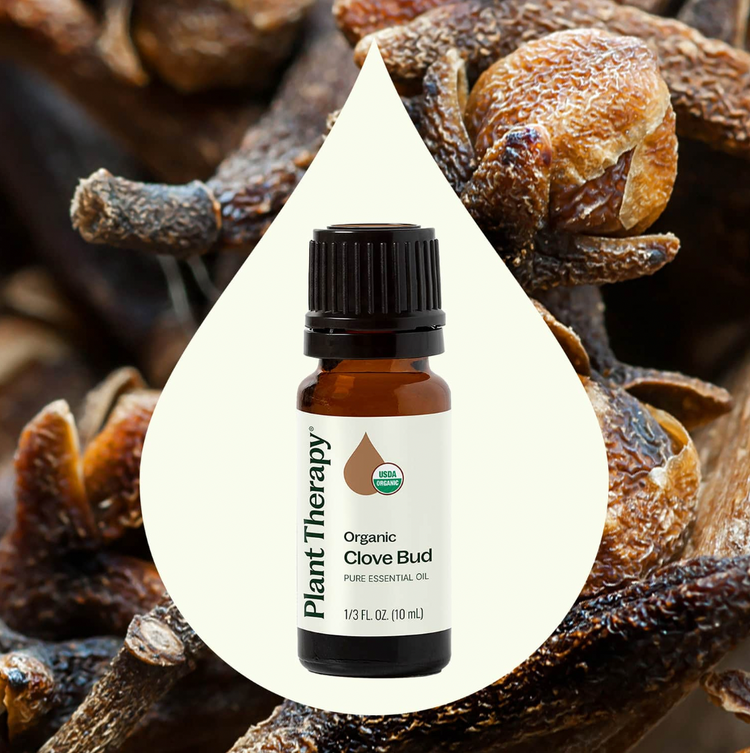 Clove Bud Essential Oil