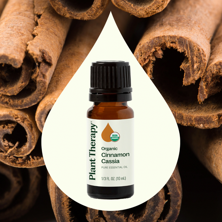 Cinnamon Cassia Essential Oil