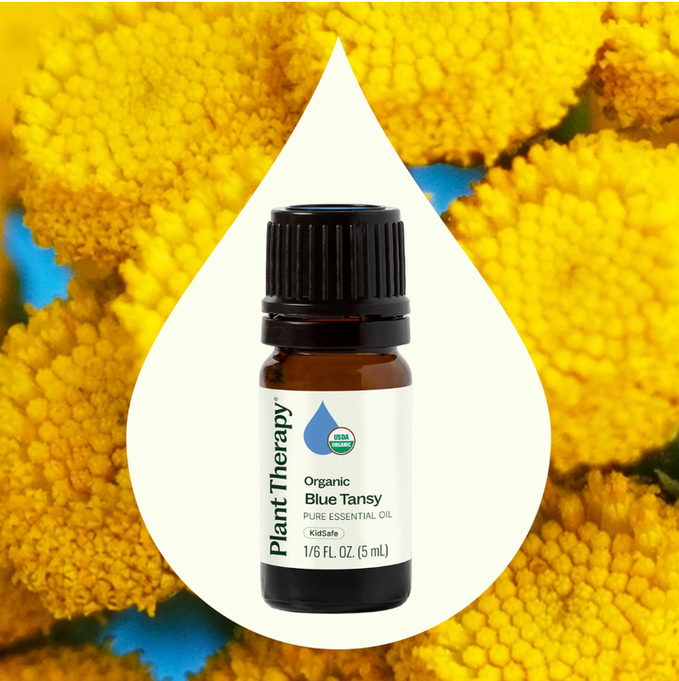 Blue Tansy Essential Oil