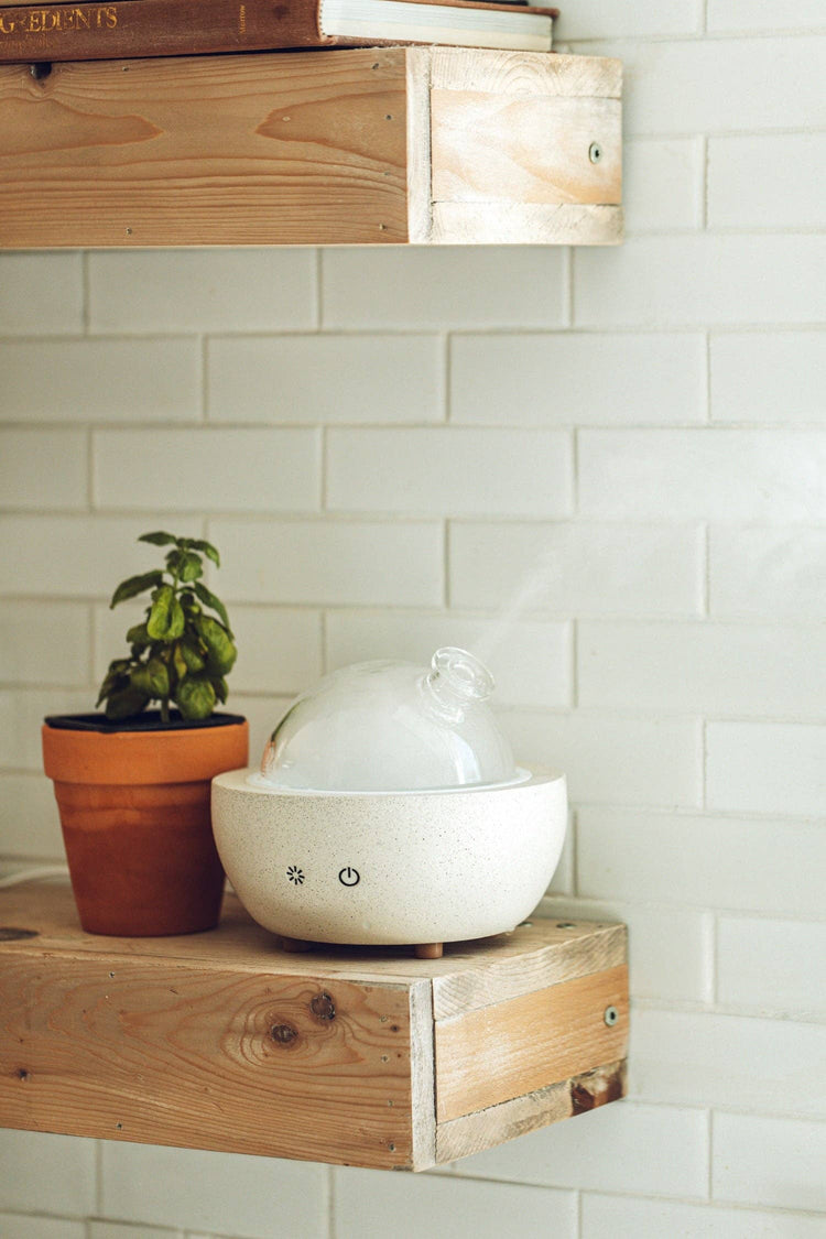 Concrete Glass Dome Essential Oil Diffuser