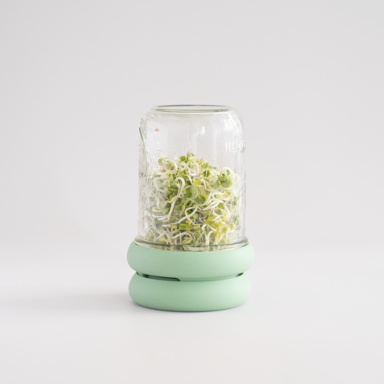 Reusable Silicone Sprouting Lids