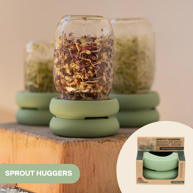 Reusable Silicone Sprouting Lids