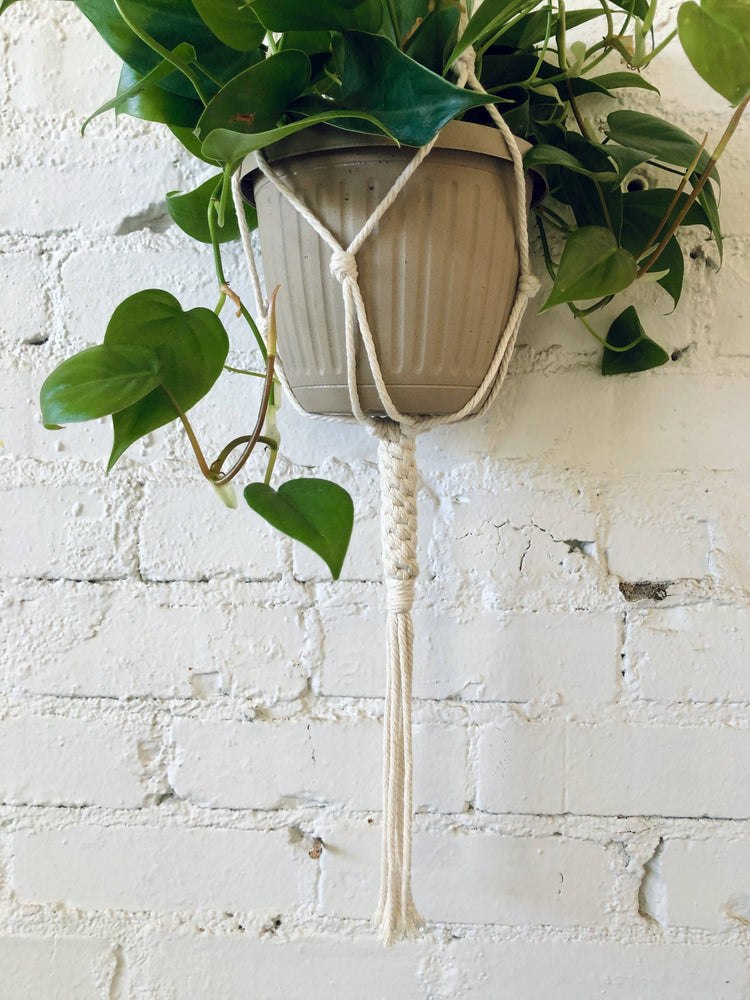 Crown Knot Plant Hanger