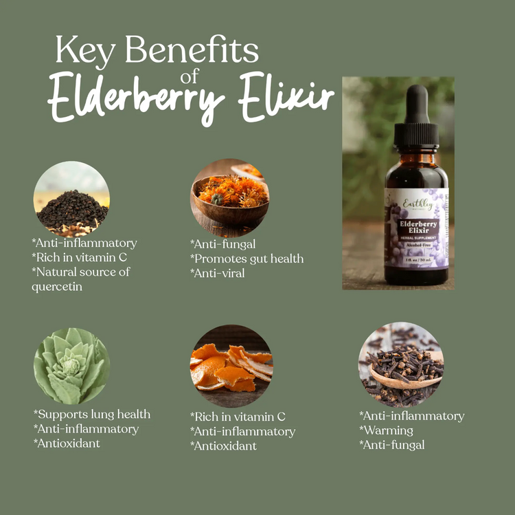 Earthley Tincture | Elderberry Elixir- alcohol free