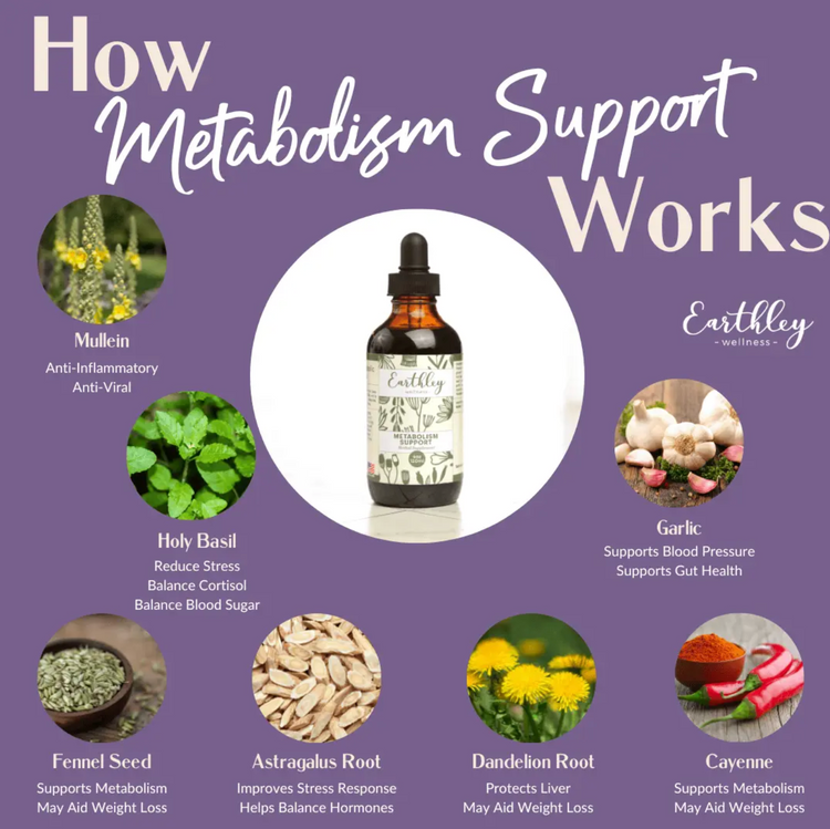 Earthley Tincture | Metabolism Support