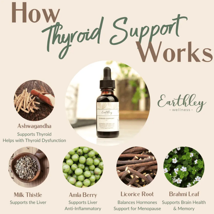 Earthley Tincture | Thyroid Support