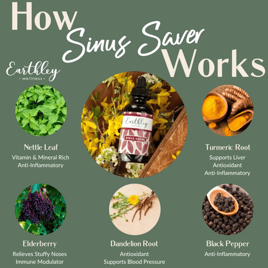 Earthley Tincture | Sinus Saver