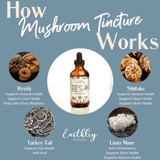 Earthley Tincture | Mushroom