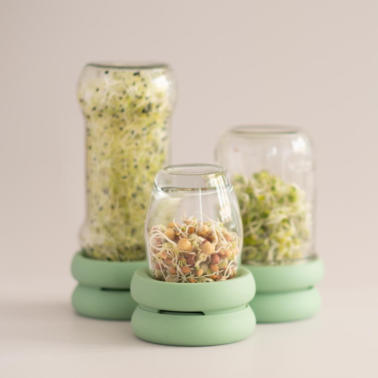 Reusable Silicone Sprouting Lids