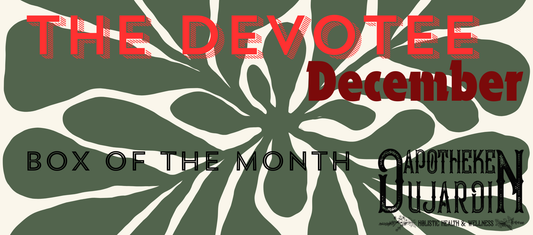 Box of the Month | DECEMBER BONUS BOX!