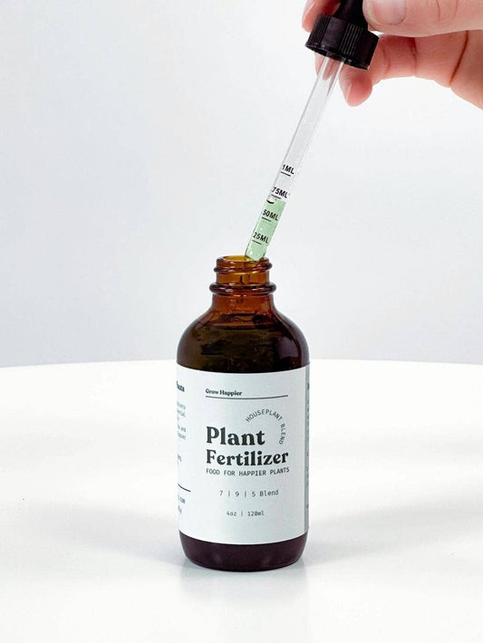 Plant Fertilizer | House Plant Food