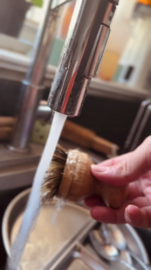 Solid Dish Soap | Eco Friendly | Low Waste