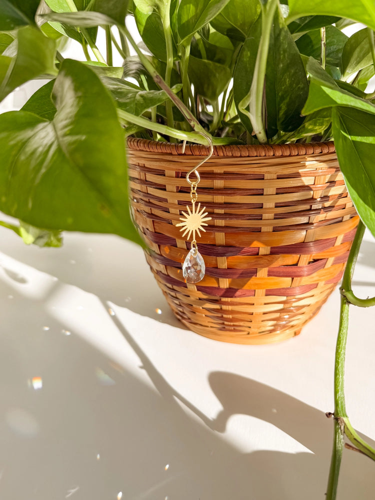 Plant Charms | Suncatchers