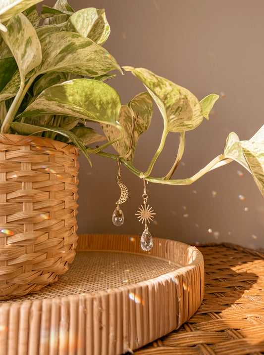 Plant Charms | Suncatchers