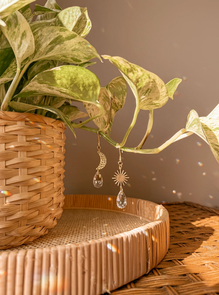 Plant Charms | Suncatchers