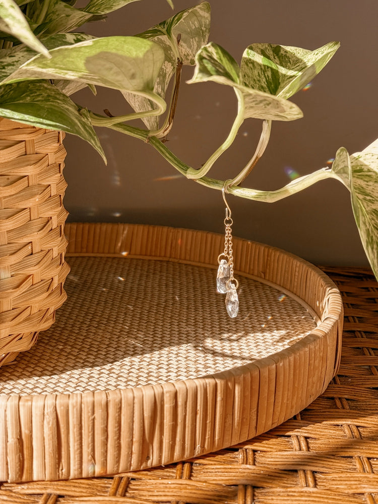 Plant Charms | Suncatchers